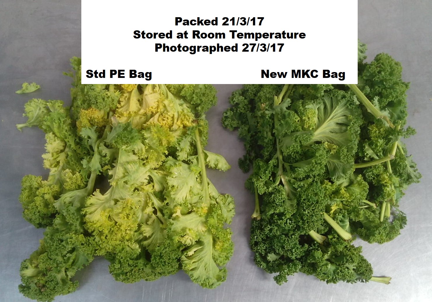 Kale bag v2
