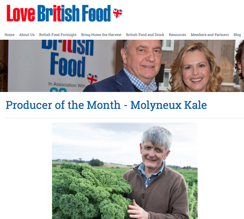 Screen Shot 2018-02-22 at 9.26.01 AM.png